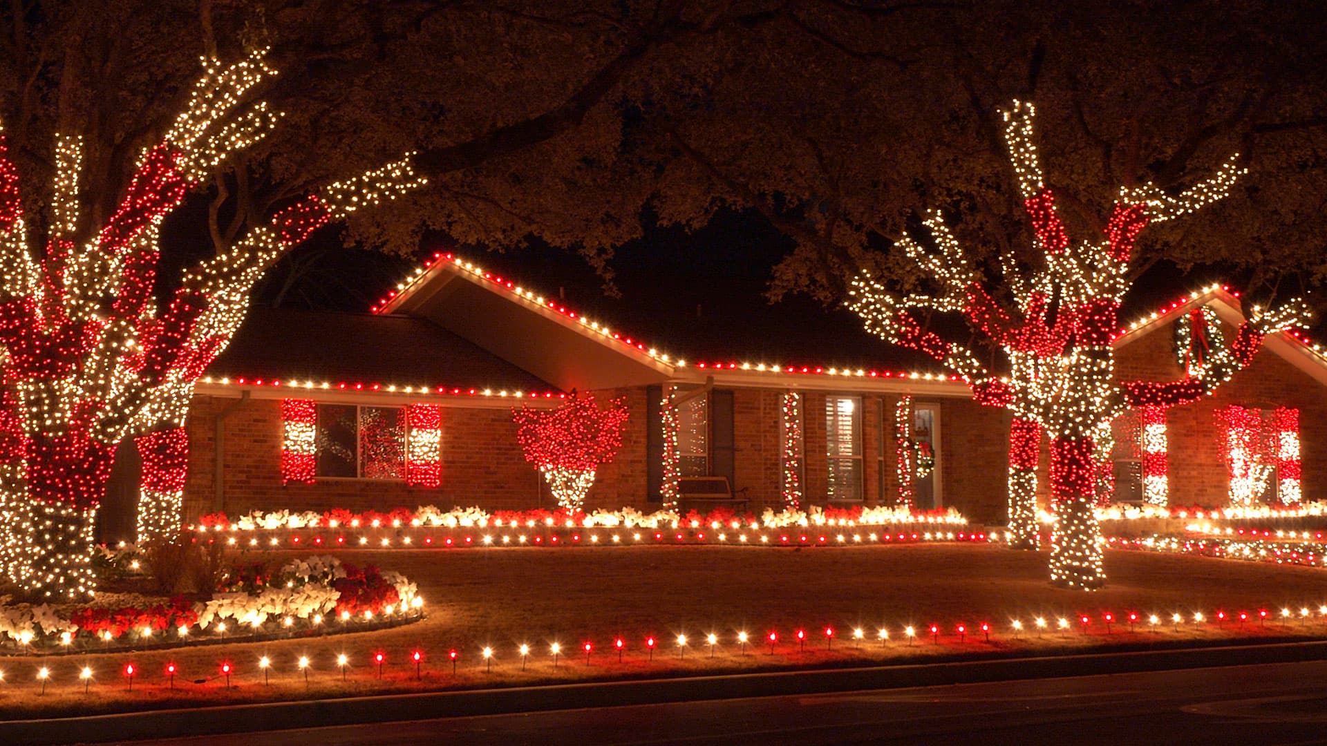 Christmas Light Installation